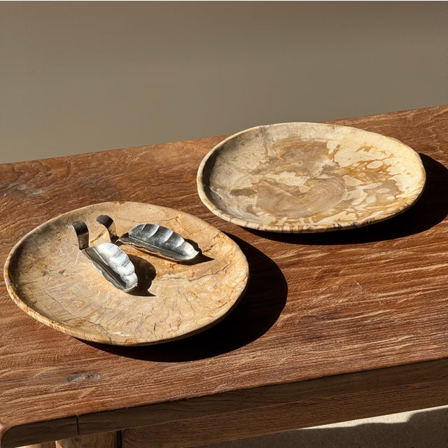 Small Trinket Tray in Speckled Beige Petrified Wood For Sale - Image 11 of 18