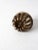 Early 20th Century Antique Elephant Claw Bell For Sale - Image 5 of 10