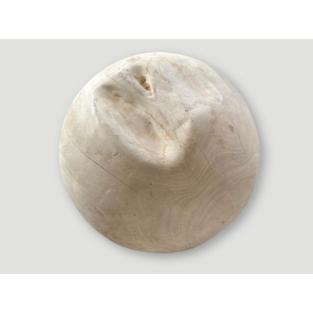 Andrianna Shamaris Sculptural Bleached Sphere on a Stand For Sale - Image 16 of 18