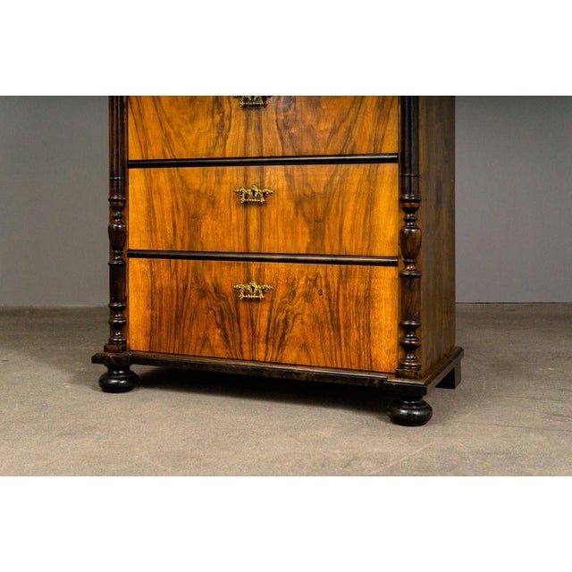 Gründerzeit Chest of Drawers in Wood and Brass For Sale - Image 12 of 17