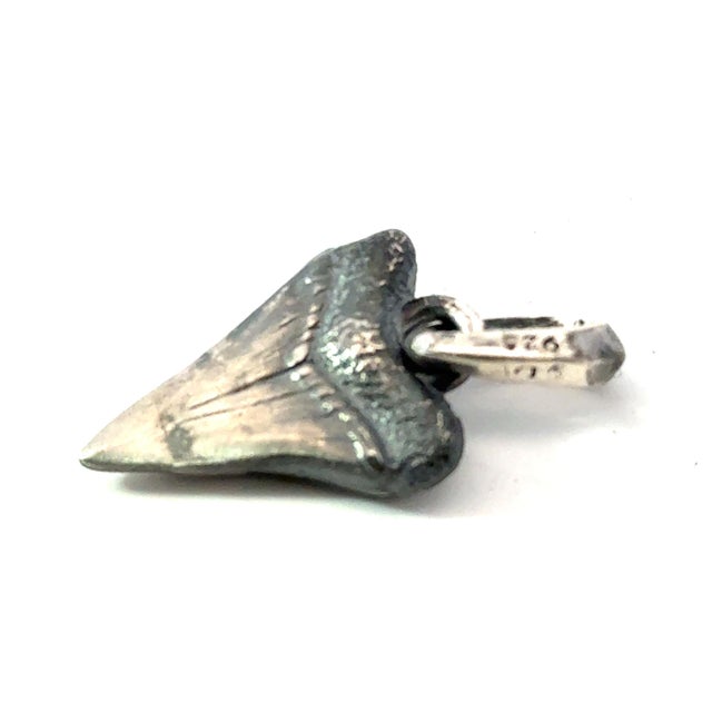Traditional 1990s David Yurman Sharktooth Amulet Sterling Silver Estate For Sale - Image 3 of 5