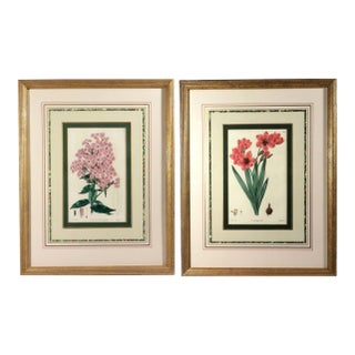 Botanical Hand-Colored Copperplate Engraving of Heart-Leaved Lychnidea and Streptanthera Cuprea by Edward Dalton Smith For Sale