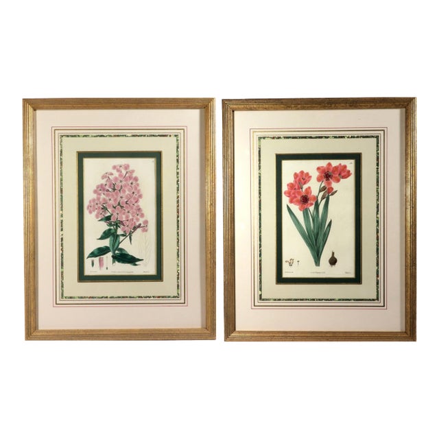 Botanical Hand-Colored Copperplate Engraving of Heart-Leaved Lychnidea and Streptanthera Cuprea by Edward Dalton Smith For Sale