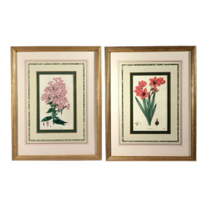 Botanical Hand-Colored Copperplate Engraving of Heart-Leaved Lychnidea and Streptanthera Cuprea by Edward Dalton Smith