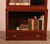 Tan Mahogany Bookcase with 3 Large Elements and Projection from Globe Wernicke, 1890s For Sale - Image 8 of 11