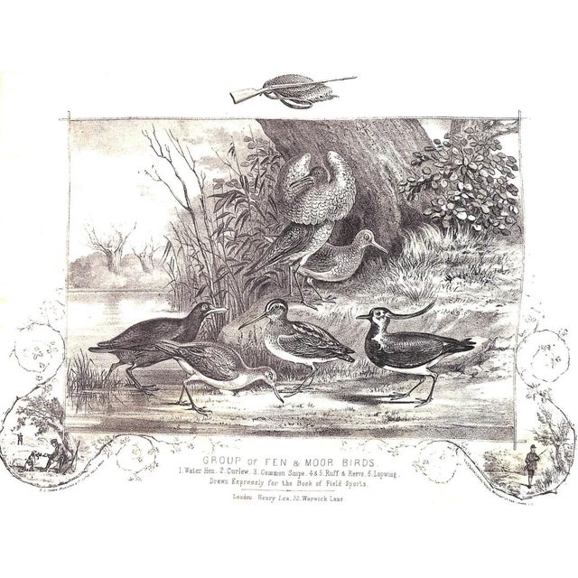 "The Book of Field Sports and Library of Veterinary Knowledge: Volumes I & Ii" 1870 Miles, Henry Downes [Edited By] For Sale - Image 12 of 18