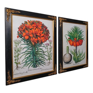 Pair of Vintage Botanical Pictures, Framed Print, After Besler, Art, Circa 1980 For Sale