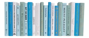 Decorative Books - Ocean Books - Blue Books