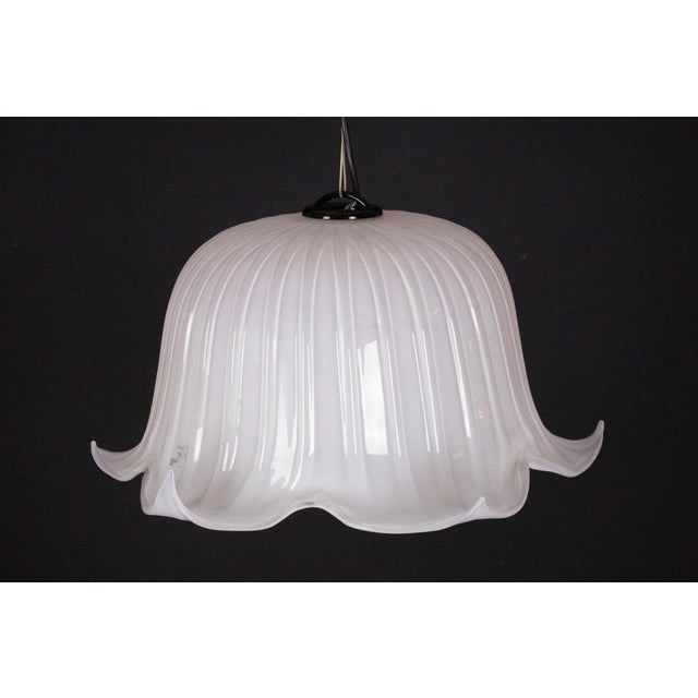 Hand-blown glass with elegant ribbed detailing and softly curved petals, reminiscent of a blooming flower. The translucent...