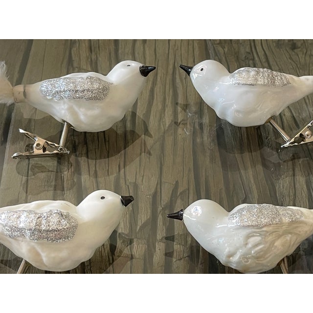 6 vintage German glass clip on birds with feathers European Christmas ornaments figurines.