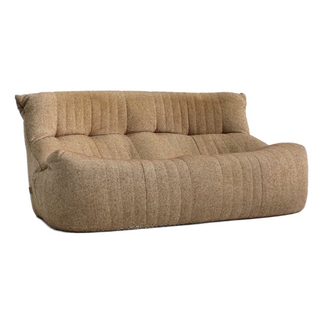 Vintage Aralia Sofa by Ligne Roset and Michel Ducaroy, 1980s For Sale