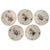 1950s Frijsenborg Lunch Plates in Hand-Painted Porcelain from Royal Copenhagen, 1950s, Set of 5 For Sale - Image 5 of 5