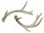 Rustic Natural Antlers – a Pair For Sale - Image 3 of 5