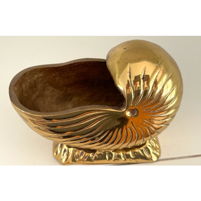 Brass Nautilus Shell Planter For Sale In Miami - Image 6 of 7