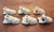 Mid 20th Century Hand Carved Bone Frog Napkin Rings Asia - Set of 6 For Sale - Image 10 of 10