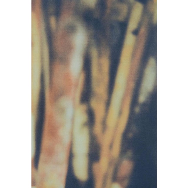 Paintbrushes Poster after Cy Twombly For Sale - Image 4 of 6