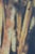 Paintbrushes Poster after Cy Twombly For Sale - Image 4 of 6