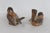Brown Stoneware Pottery Pair of 2 Sparrow Bird Figurines Brown Feather Details 4970b For Sale - Image 8 of 10