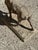 Vintage French Standing Deer Small 19" Cement Concrete Stone Garden Statue For Sale - Image 13 of 16