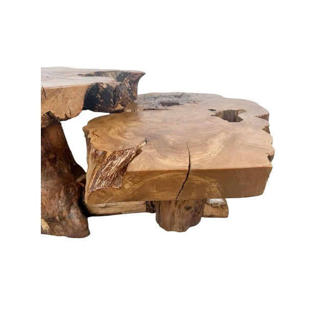 Vintage Organic Modern Two-Tier Live Edge Wood Coffee Table For Sale - Image 17 of 18