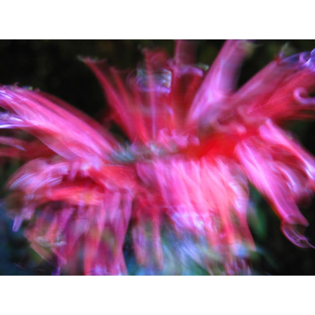 Contemporary Abstract Fine Art Flower Photography Print For Sale