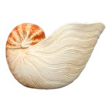 Fitz and Floyd Seaboard Nautilus Shell Wine Caddy / Cachepot — Coastal Ceramic For Sale