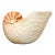 Fitz and Floyd Seaboard Nautilus Shell Wine Caddy / Cachepot — Coastal Ceramic For Sale