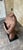1960s Large 31-Inch Mid-Century Modern Brutalist Cast Stone Female Torso Sculpture For Sale In Boston - Image 6 of 6