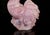 Early 21st Century Pink Rooster Natural Rose Quartz Gemstone Chicken Sculpture Large 8.5" For Sale - Image 5 of 10
