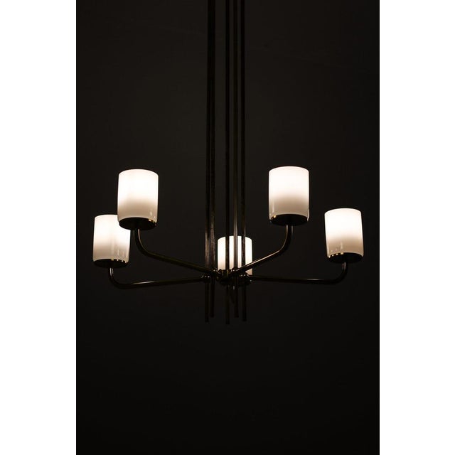 Ceiling Lamp in Brass and Opaline Glass in the style of Paavo Tynell, 1950s For Sale - Image 3 of 8