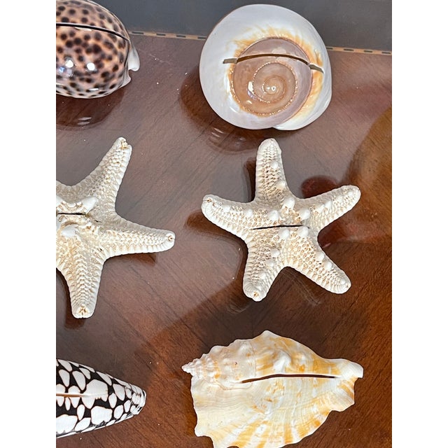 Coastal 9 PCS Vintage Coastal Sea Shell Place Cards Holders for Weddings, Parties For Sale - Image 3 of 6