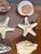 Coastal 9 PCS Vintage Coastal Sea Shell Place Cards Holders for Weddings, Parties For Sale - Image 3 of 6