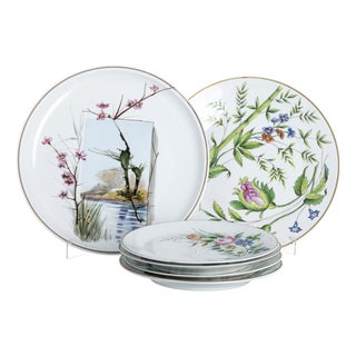 Plates in Porcelain, Set of 6 For Sale