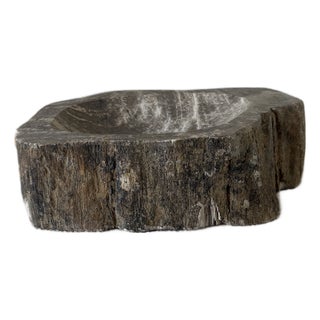 Hand-Carved Petrified Teak Bowl / Organic Rustic Decorative Vessel For Sale