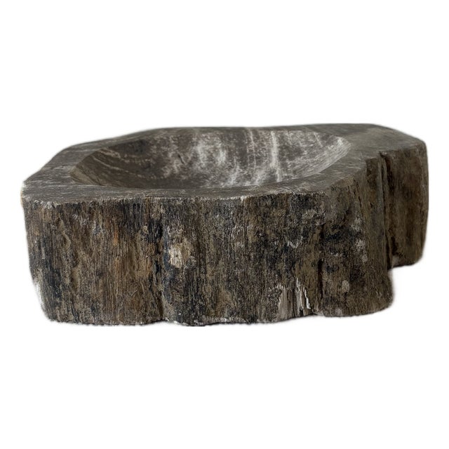 Hand-Carved Petrified Teak Bowl / Organic Rustic Decorative Vessel For Sale