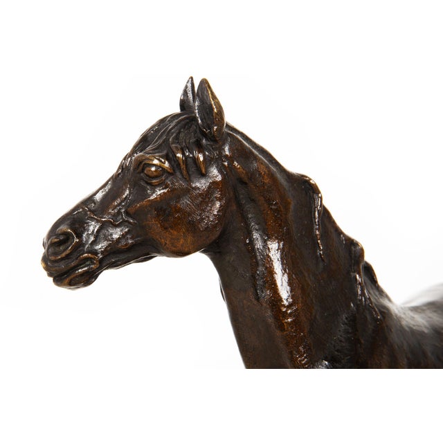 French Antique Bronze Sculpture of Ibrahim, Arabian Stallion by Pierre Jules Mene For Sale - Image 9 of 16