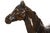 French Antique Bronze Sculpture of Ibrahim, Arabian Stallion by Pierre Jules Mene For Sale - Image 9 of 16