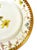 Antique German Fischer & Mieg Pirkenhammer Dinner Plates - Set of 4 For Sale - Image 9 of 15