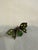 Antique Art Nouveau Insect Brooch with Green Paste Stones and Butterfly Bow Tie in C-Clasp, 1890s For Sale - Image 3 of 7