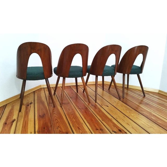 Dining Chairs by A. Suman for Tatra Nabytok, Former Czechoslovakia, 1960s, Set of 4 For Sale - Image 11 of 18