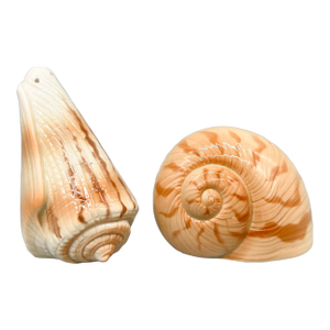 Vintage Otagiri Japan Ceramic Seashell Salt & Pepper Shakers – Coastal Chic Shell Set - Nautical/ Palm Beach