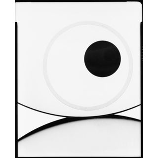 Four Circles by Tim Fabian For Sale