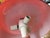 Metal 1960s Mod White Tulip Based + Red Glass Lamp by Temde of Switzerland For Sale - Image 7 of 8