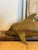 Mid-Century Modern Vintage Brass Mid Century Modern Dolphin Figurine For Sale - Image 3 of 7