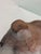 Animal Skin Leather Clad Bull Dog Figure. 1 of 2 For Sale - Image 7 of 7