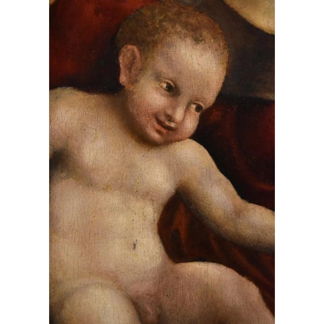 School of Antonio Allegri / Il Correggio, Madonna and Child, 1580, Oil on Board For Sale - Image 15 of 18