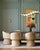 The Alexine Wall Sconce is a pretty shell-shaped gold sconce that washes a wall with splashes of light. Made of brass in...