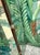 Late 20th Century Vintage Eglomise Hand Painted Mirrored Screen For Sale - Image 5 of 12