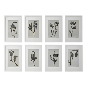 Set of 8 - Contemporary One-of-a-Kind Black and White Botanical Organic Modern Original Oil Paintings / Herbarium / Floral / Abstraction