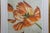 Late 20th Century David Hwang Soicher Marin Isolated Tulip Flowers Signed Mixed Media 29" - Set of 2 For Sale - Image 11 of 14